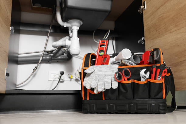Best Clogged Drain Plumber  in Big Bend, WI